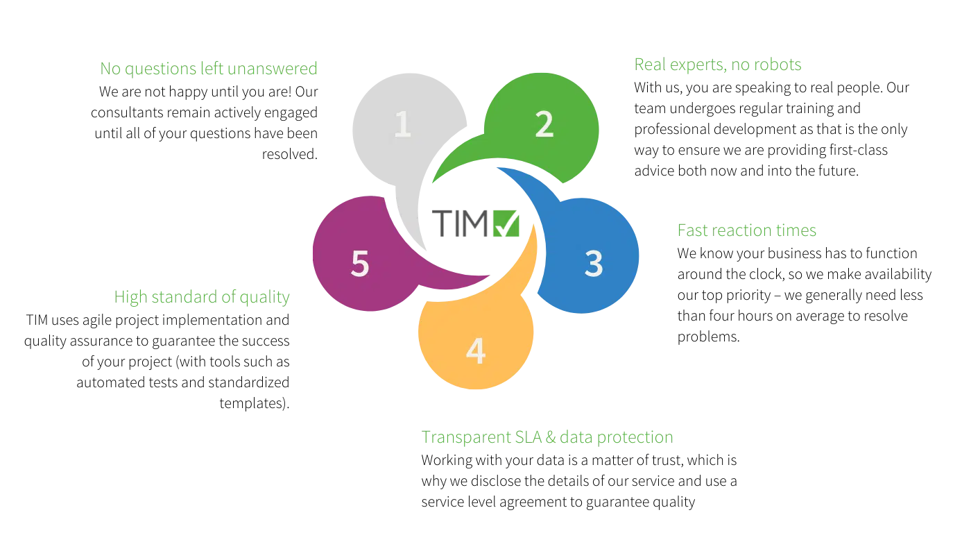 TIM Solutions Project Implementation Professional Services
